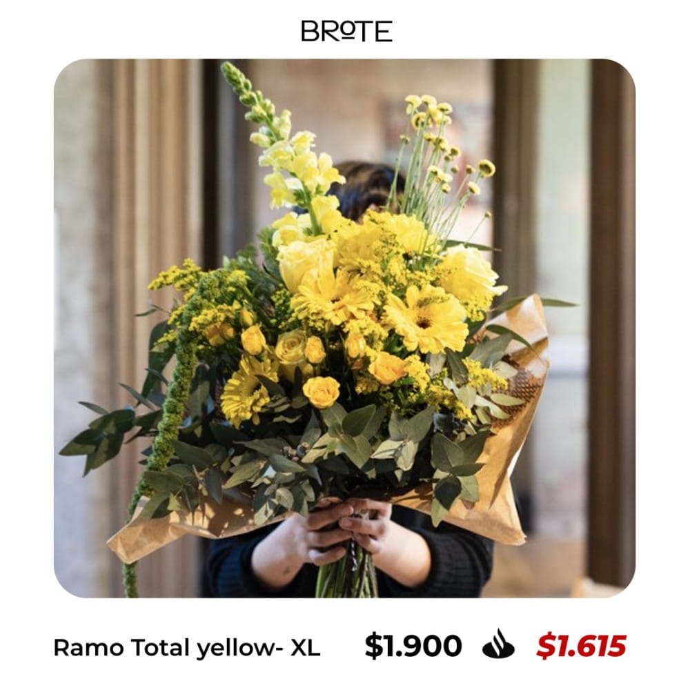 Contenido del artículo