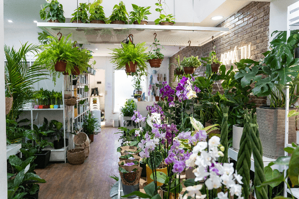 Brote - Caso de éxito